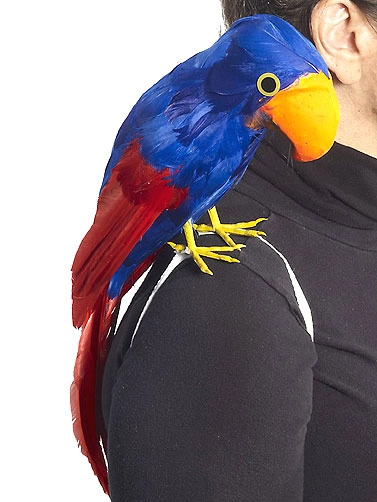 How to Attach a Fake Parrot to Your Shoulder