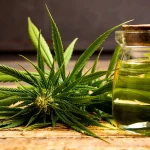 Maximizing Health Benefits While Practicing Medical Marijuana