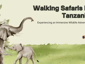 Walking Safaris in Tanzania