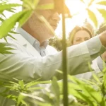 HR Outsourcing: A Strategic Tool for Cannabis Companies